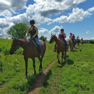 Captiva-farms-horseback-riding group horseback riding