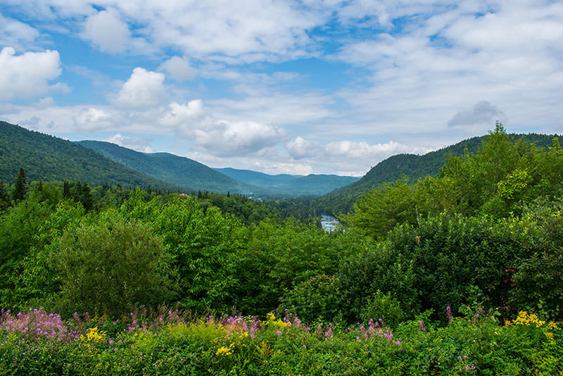 scenic view overlooking trees and the sky